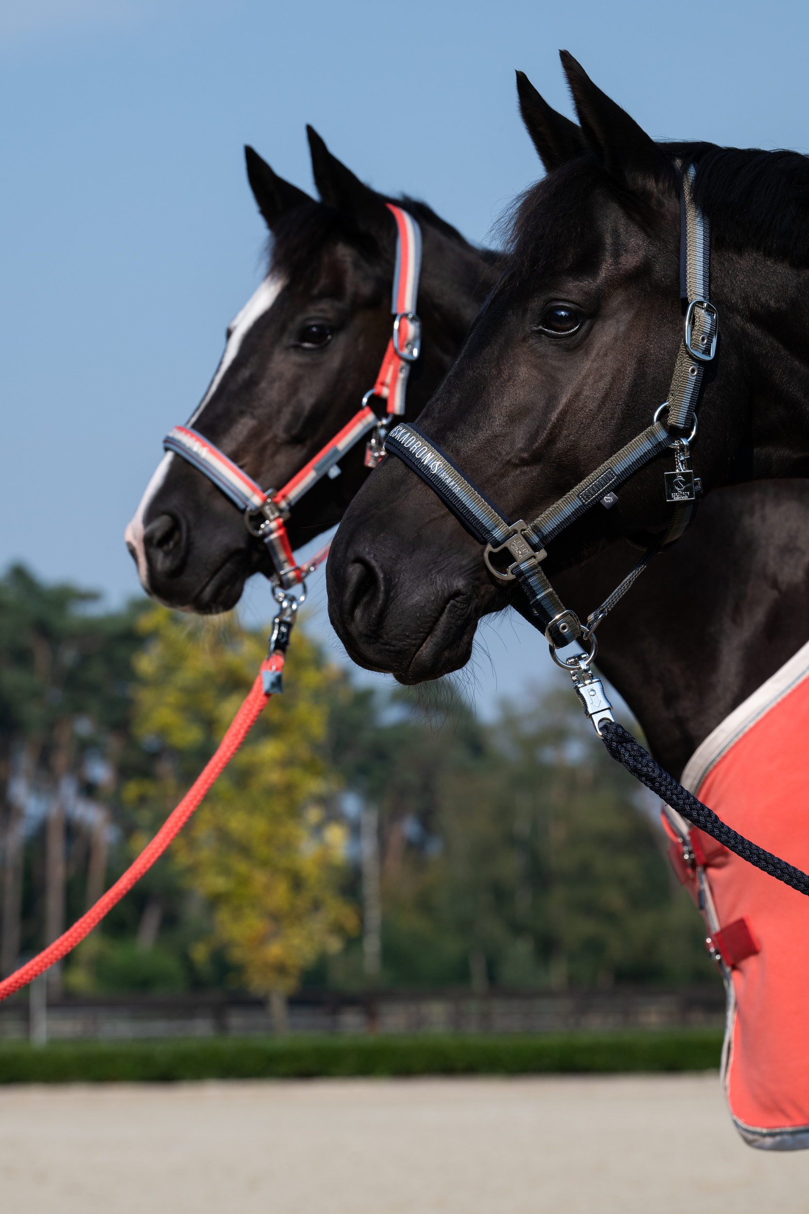 Eskadron Classic Sports FS25 Halfter Double Pin