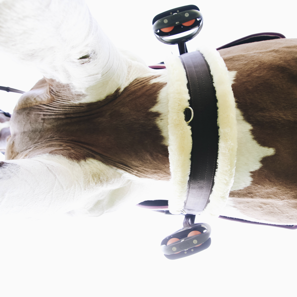 424012 Kentucky Horsewear Sattelgurt Stoff mit Schaffell, Langgurt