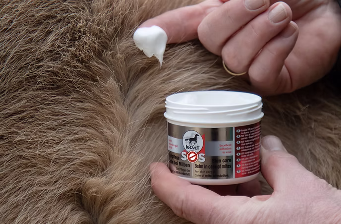 Leovet SOS Hautpflegesalbe, bei Milben