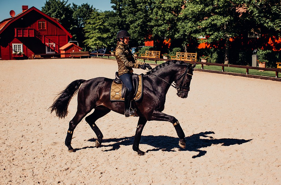 gbf2 Equestrian Stockholm Fleece Bandagen Golden Brass