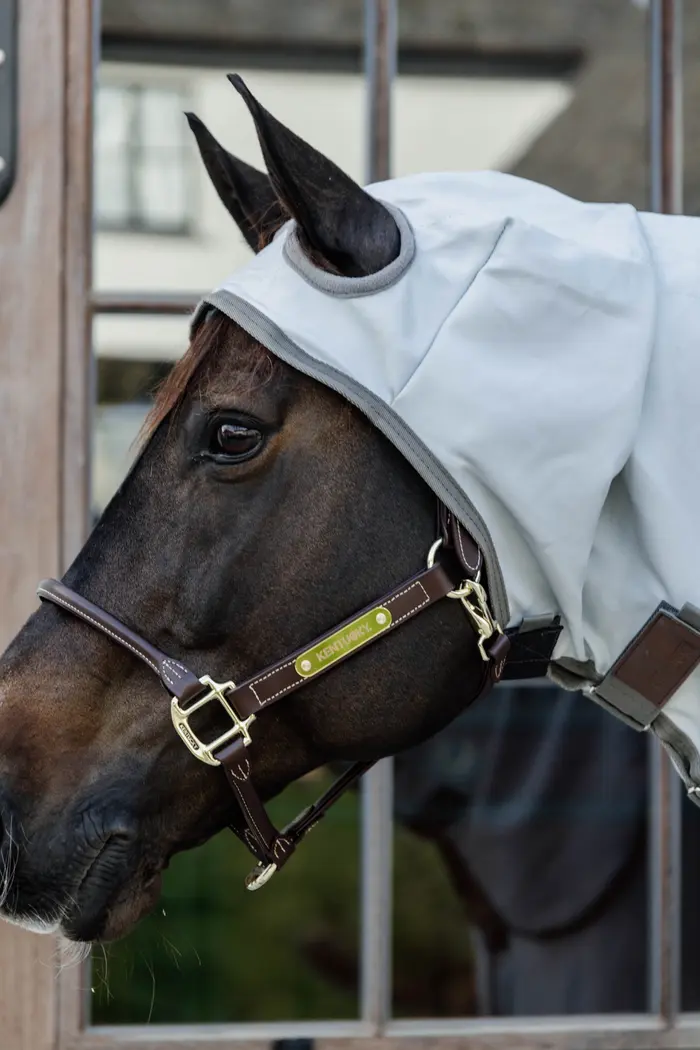 Kentucky Horseware Ekzemer Decke Kentucky Horseware Ekzemer Decke