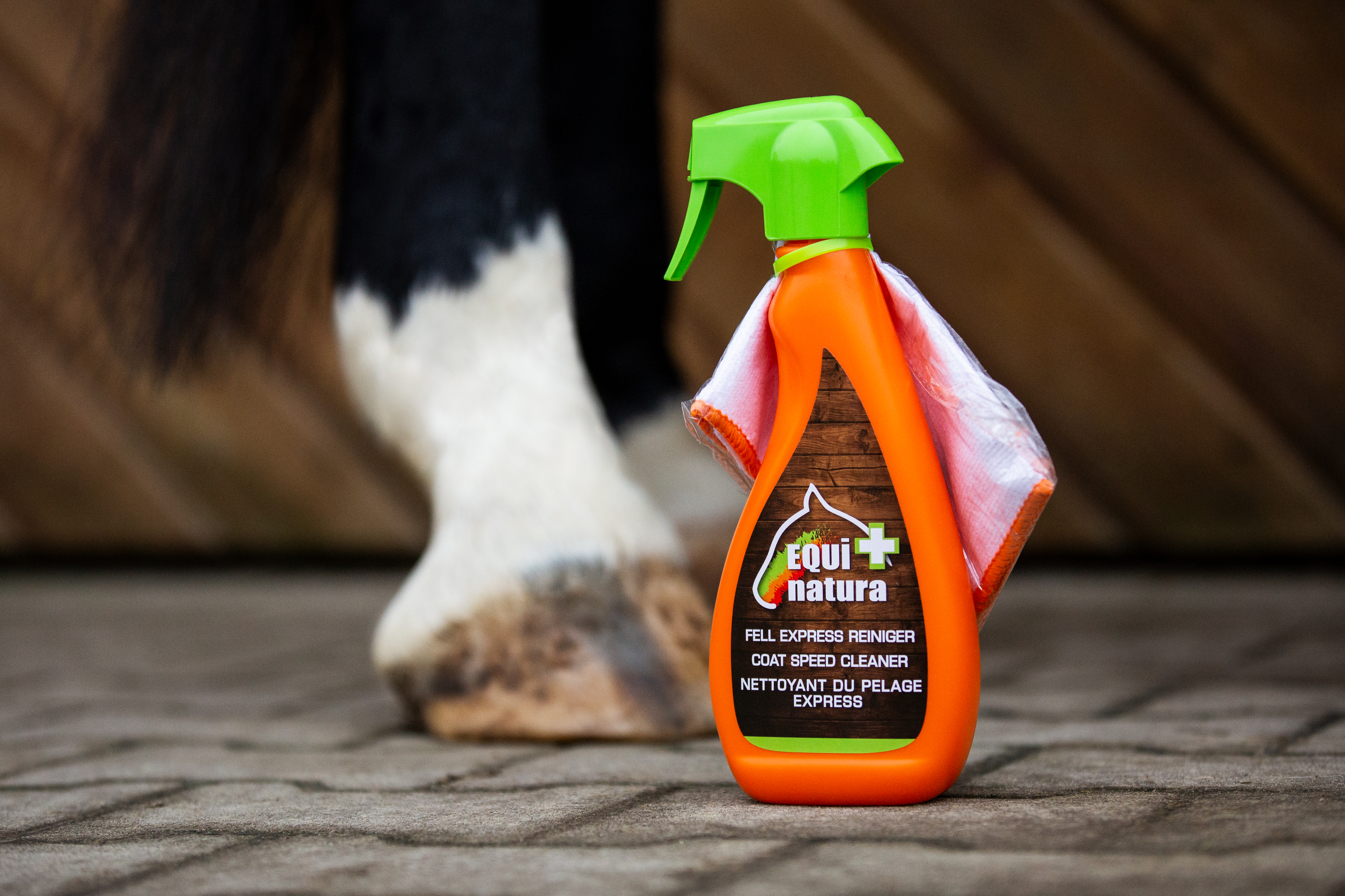 Fell-Express-Reiniger_V02_9B2A2386bearbeitet Equinatura+ by Leovet Fell Express Reiniger