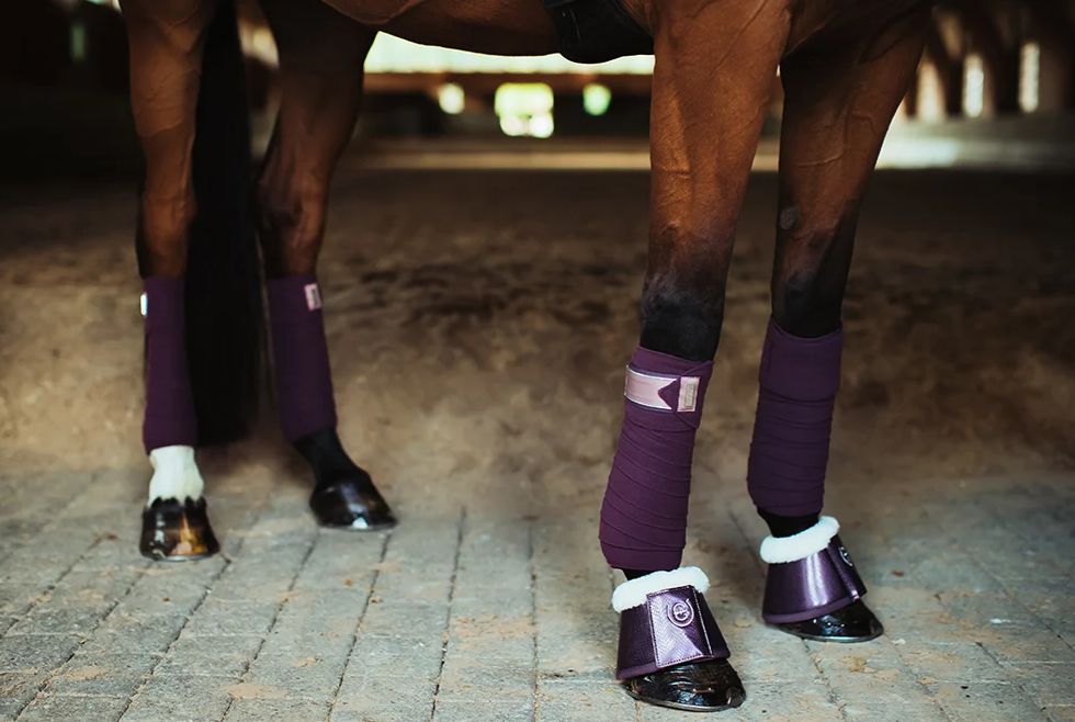 flborbl2 Equestrian Stockholm Fleece Bandagen Orchid Bloom