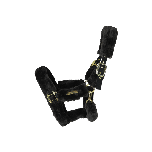 42502black 42502black