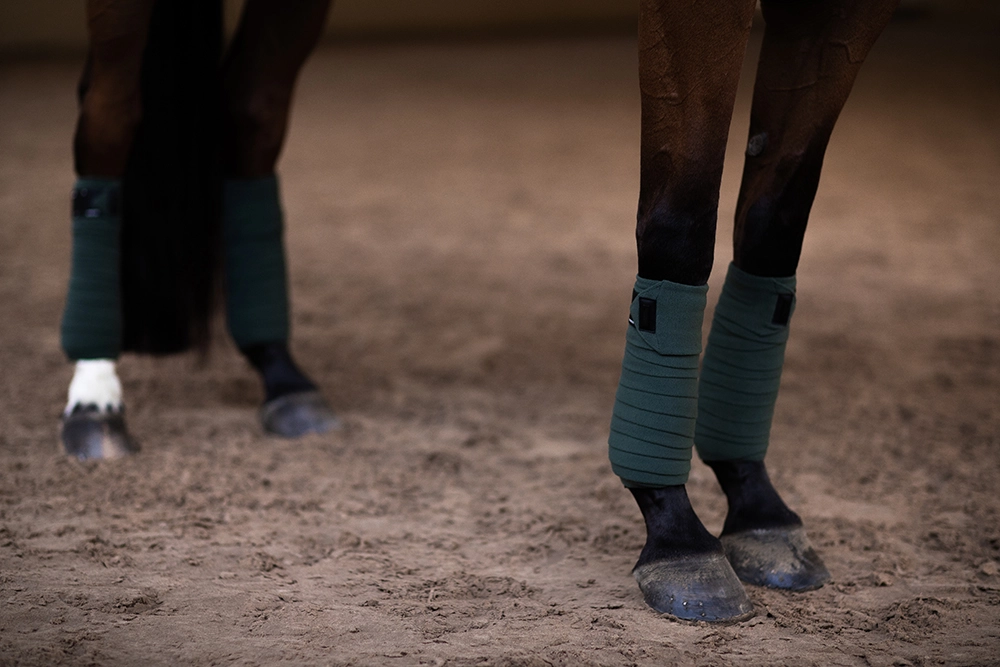 911607-2 Equestrian Stockholm Fleece Bandagen Sportive Sycamore Green