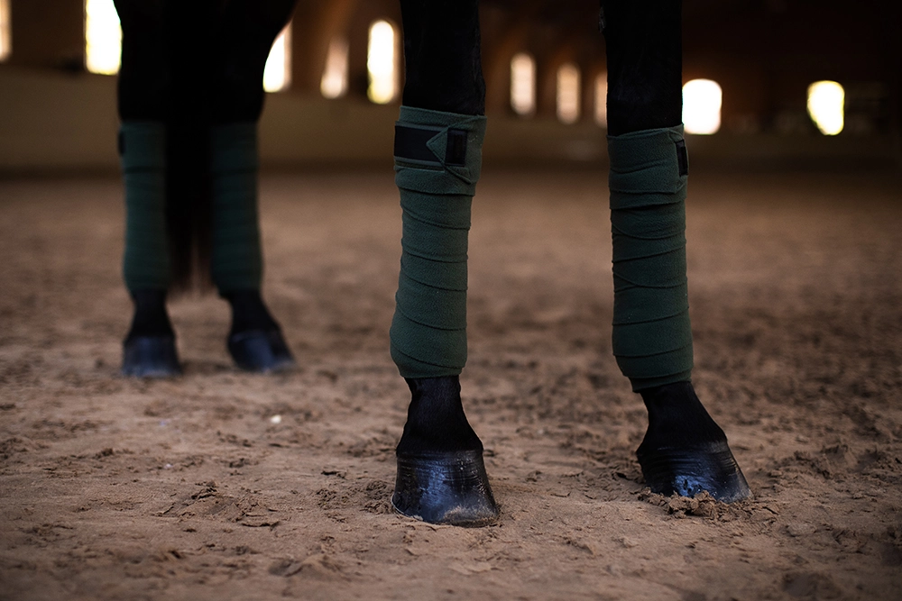 911606-2 Equestrian Stockholm Fleece Bandagen Sycamore Green