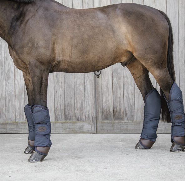 transportgamaschen1 Kentucky Horsewear Transport Gamaschen, navy