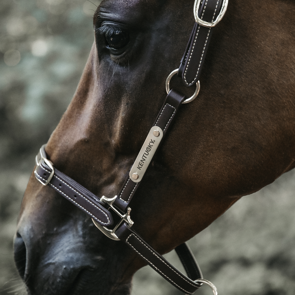 42712 Kentucky Horsewear Leder Halfter, flexible