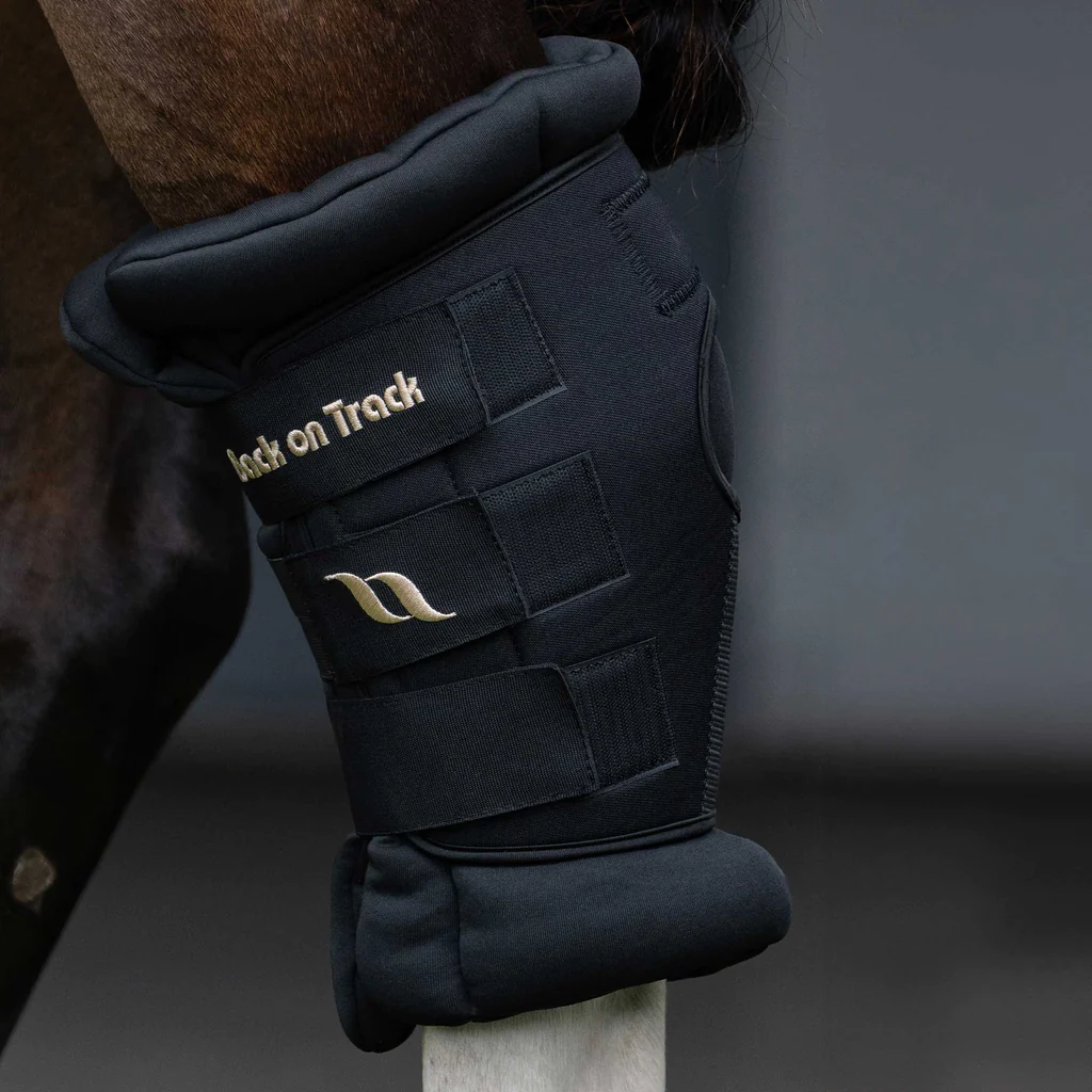 Back on Track Royal Sprunggelenkschoner Delux Back on Track Royal Sprunggelenkschoner Delux
