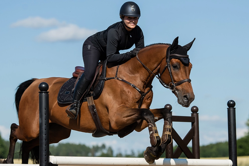 Equestrian Stockholm Fliegenhaube All Black Glimmer