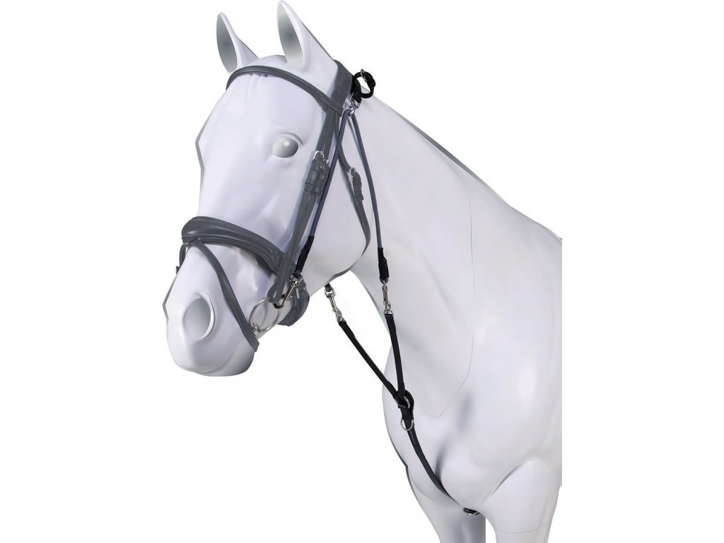 ac9721 Acavallo Chambon