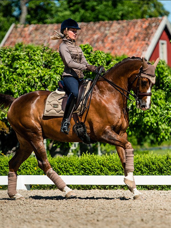 Equestrian Stockholm Dressur Schabracke Champagne