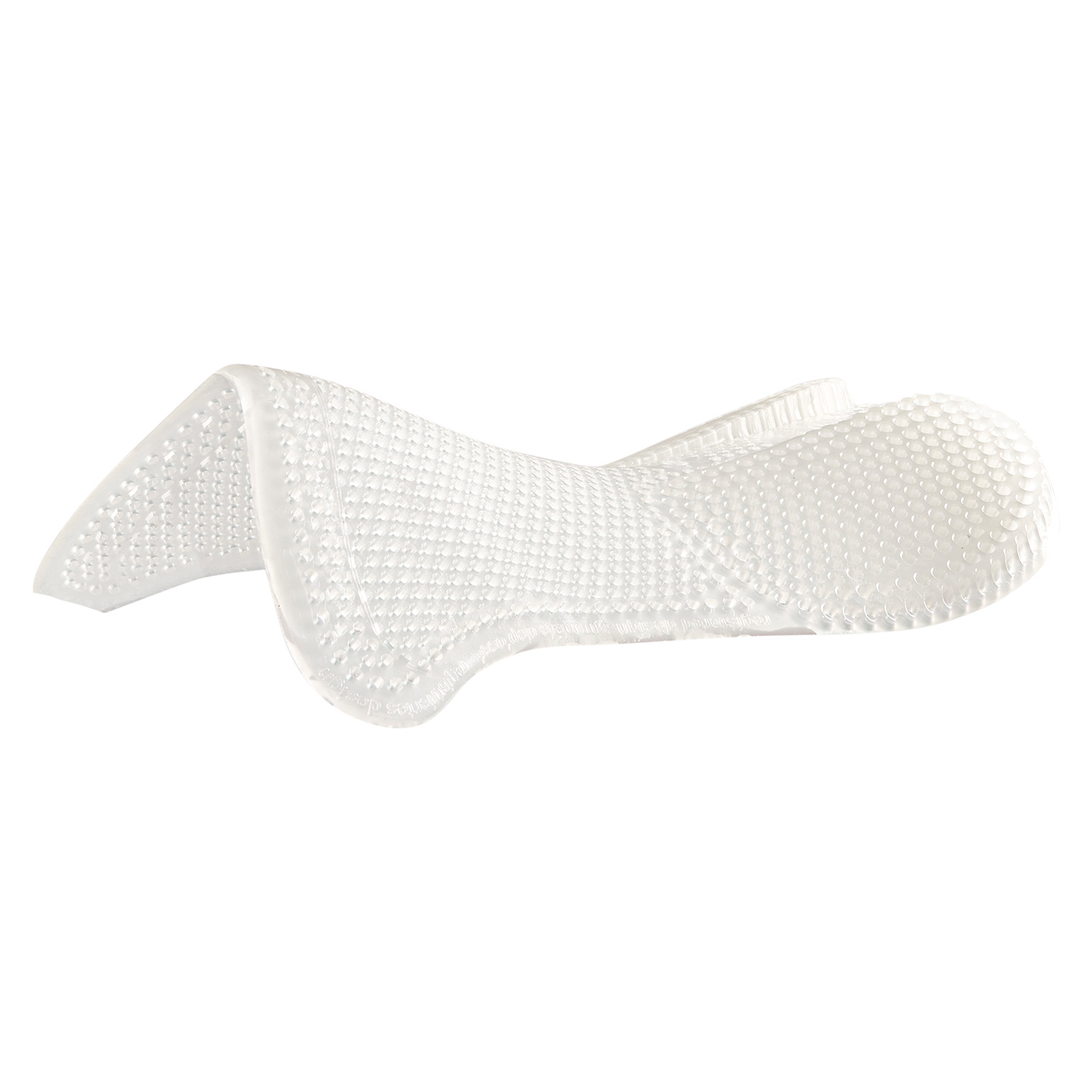 AC109_00-1 AC109_00-1