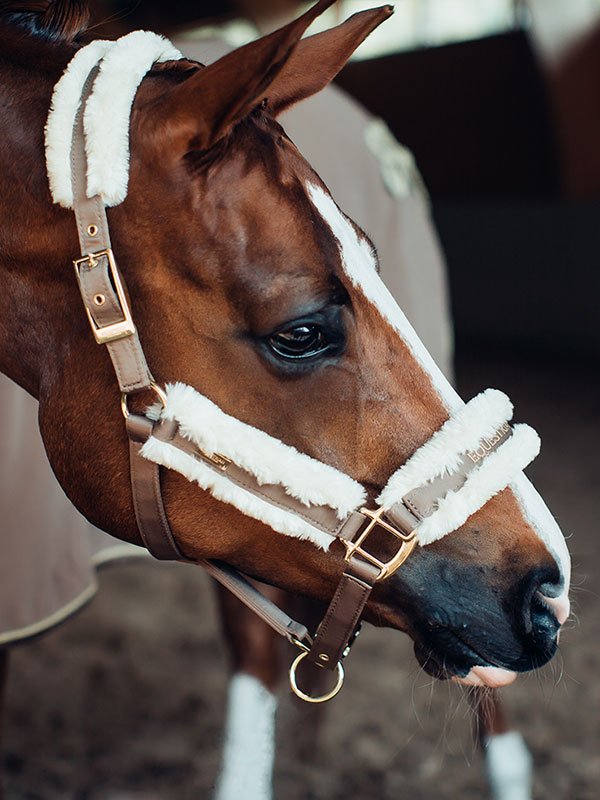 halter-champagne-esstockholm Equestrian Stockholm Halfter mit Fell Champagne, mit Führstrick