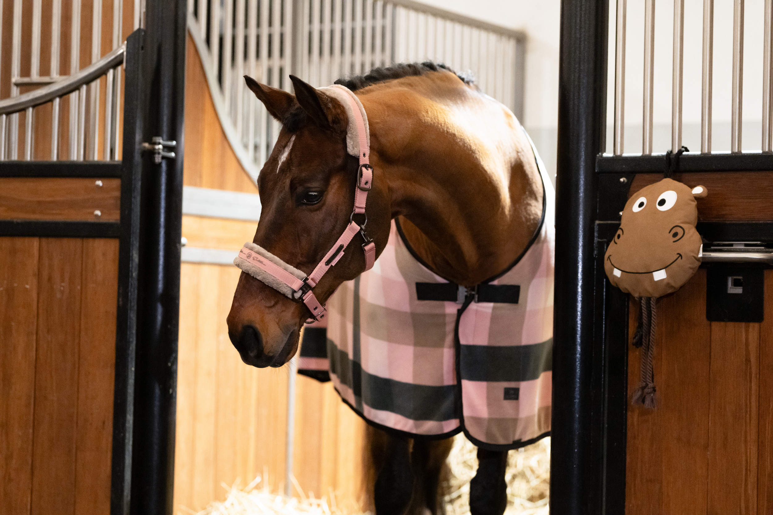 Eskadron Halfter Double Pin Faux Fur Platinum 2025