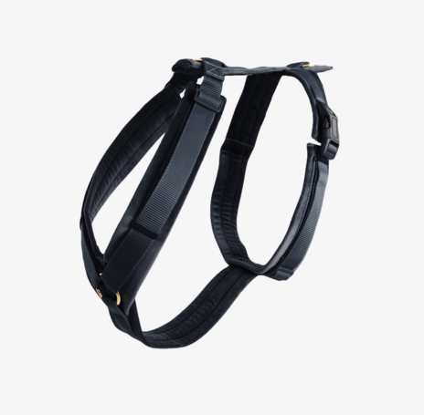 Kentucky Dogwear Hundegeschirr, aktiv velvet