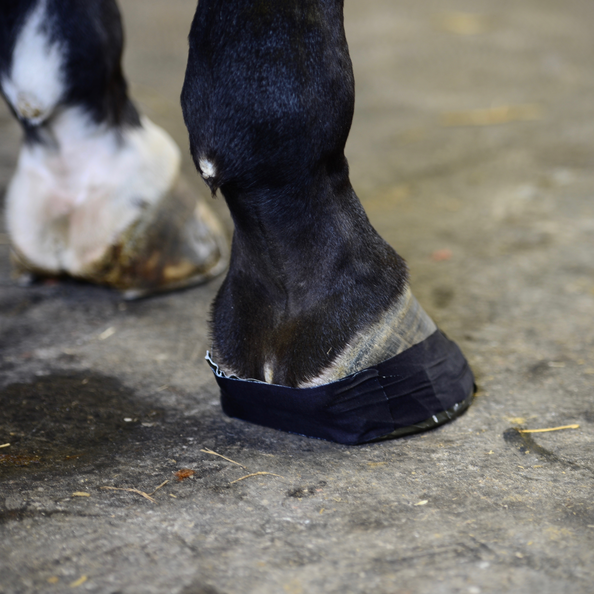 44542black3 Kentucky Horsewear Sohlentape, Huftape