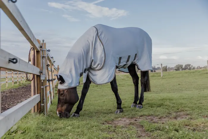 Kentucky Horseware Ekzemer Decke Kentucky Horseware Ekzemer Decke