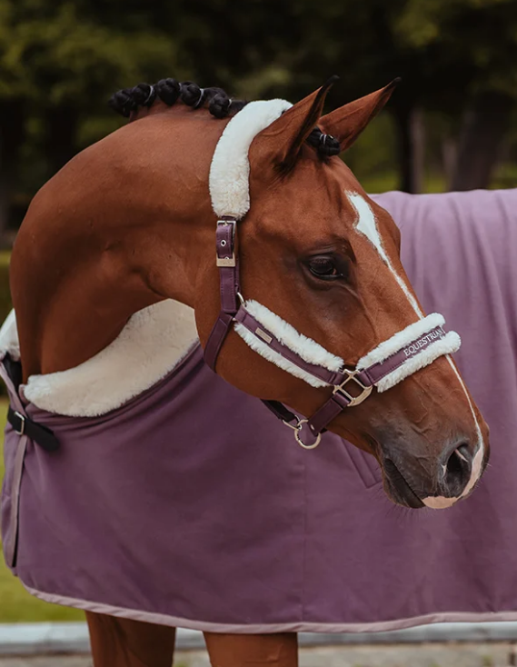 halfterorcbl1 Equestrian Stockholm Halfter mit Orchid Bloom, mit Führstrick