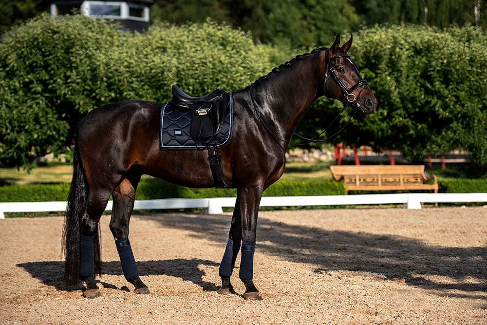 Dressage-Saddle-pad-Midnight-blue Equestrian Stockholm Dressur Schabracke Midnight Blue