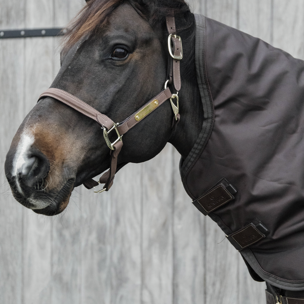 52201braun2 Kentucky Horsewear Halsteil All Weather pro, 150g
