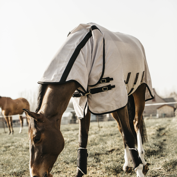 52163-2 Kentucky Horsewear Fliegendecke mit Bauchlatz