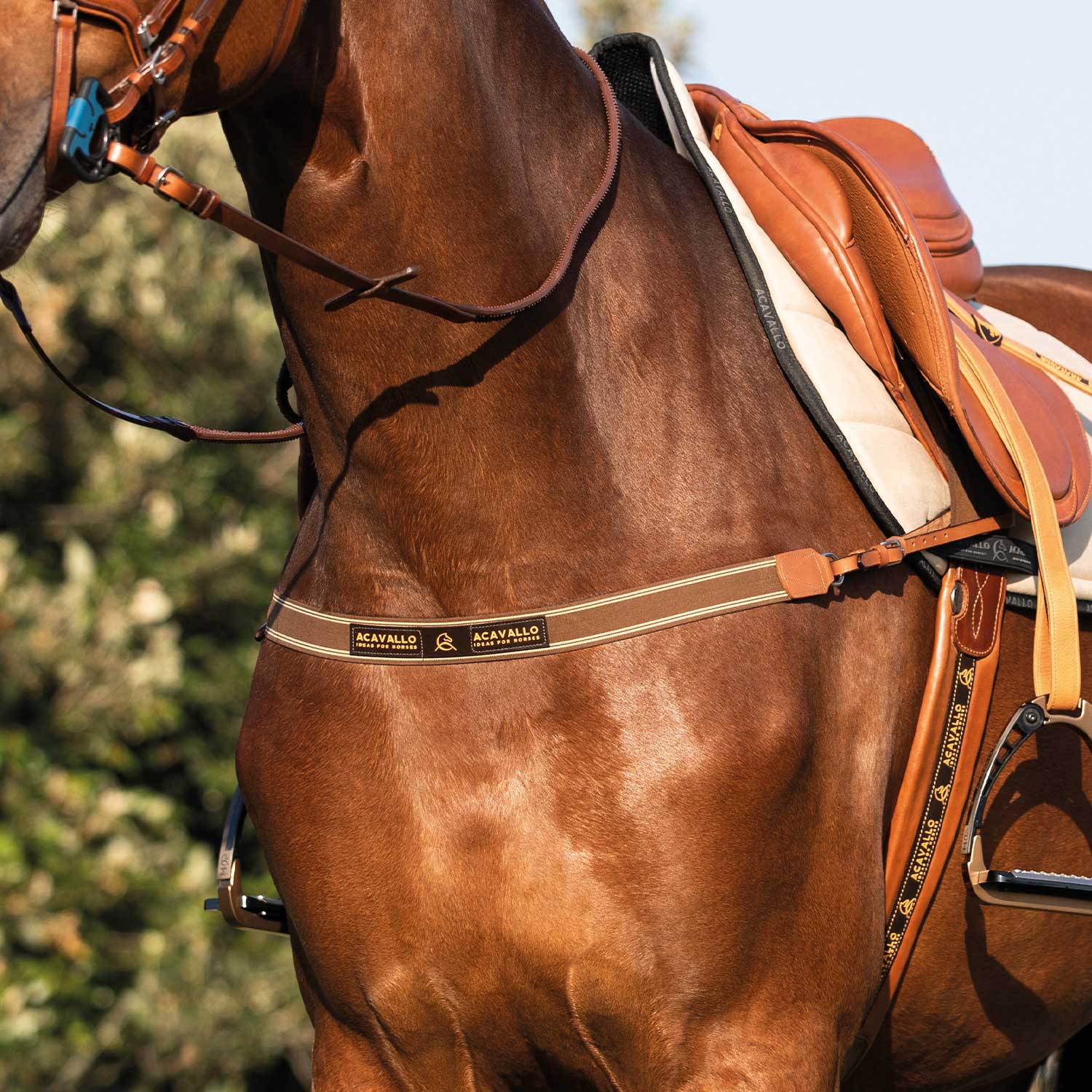 0039989_acavallo-single-elastic-breastplate_ac9620 0039989_acavallo-single-elastic-breastplate_ac9620