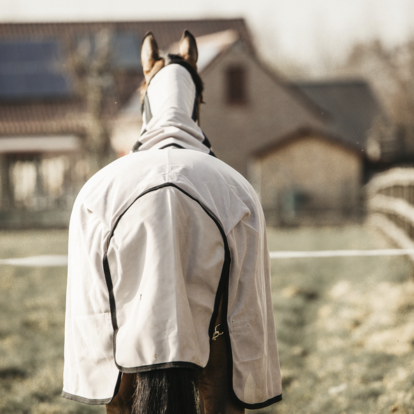52163-3 Kentucky Horsewear Fliegendecke mit Bauchlatz