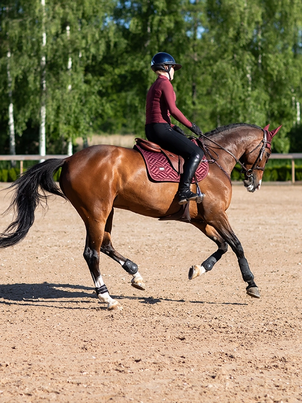 Equestrian Stockholm Spring Schabracke New Maroon