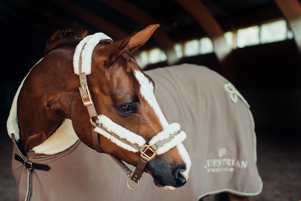 champagne-fleecetacke-och-grimma-esstockholm Equestrian Stockholm Abschwitzdecke mit Kragen Champagne